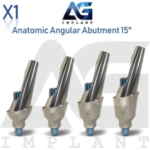 Prótesis Angular Anatómica 15° Estética Titanio Int Hex 2.42mm - Imagen 1 de 4