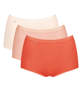 Sloggi Basic Maxi Slips 3er Pack Damen Dessous Schlüpfer 95% Baumwolle - Bild 1 von 4