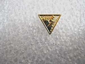 RARE ANCIEN PINS LEGION ETRANGERE PARACHUTISTES 2° REP LES SNIPERS (DORE) - Picture 1 of 2