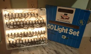 Vintage Weihnachten Miniatur 50 Lichter Set getestet funktioniert Blume Reflektoren Sears - Bild 1 von 6