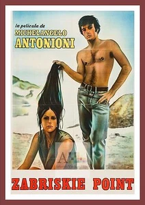 Zabriskie PointPsychedelic Movie Poster A1 A2 A3 - Imagen 1 de 1