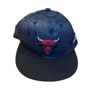 Chicago Bulls NBA Hat Artist Series Lauren Asta Cap 2018-19 Snapback Melonwear - Picture 1 of 6