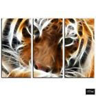 Tiger Fractal Orange Animals Box Framed Canvas Art Picture Hdr 280Gsm