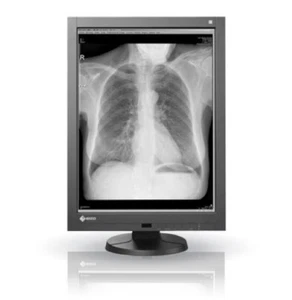 EIZO RadiForce GX240 21.3-inch wide Monochrome IPS LED Backlight 1200 x 1600 - Picture 1 of 9