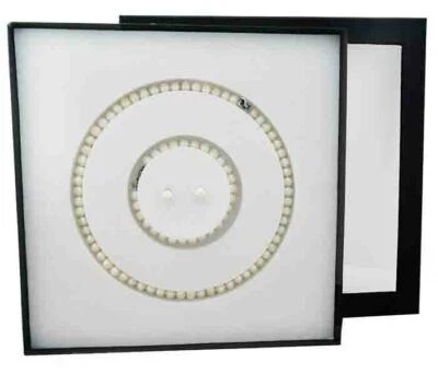 GENUINA PERLA, COLLAR, PULSERA Y PENDIENTES Acero Inoxidable, Caja incluida  Foto 1 de 4