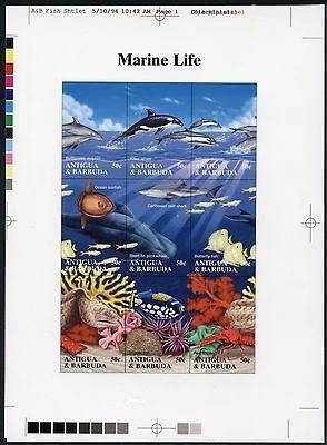 Antigua #1806, prueba fotográfica, M/S, vida marina, delfín, ballena asesina Foto 1 de 1