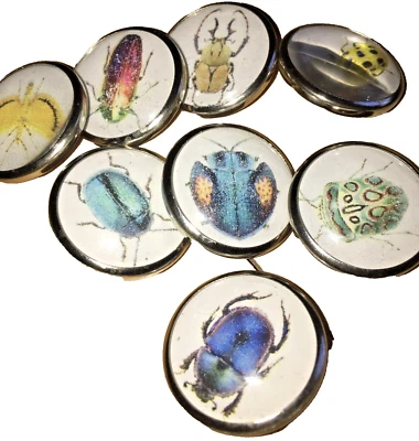 Set of 8 Handmade Glass Dome Misc. Insects Picture Buttons Made in U.S.A. SCARFS - Image 1 of 4