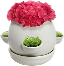 4 Side Openings Design White Ceramic Decorative Plant Container Pot w/ Saucer