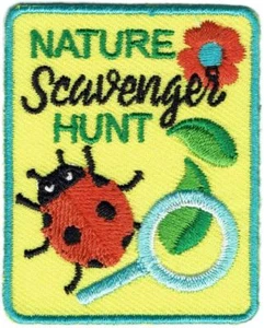 Girl Boy Cub NATURE SCAVENGER HUNT search Fun Patches Crests Badges SCOUT GUIDE - Picture 1 of 1