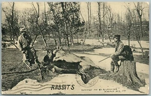 WAUPON WI HUNTING RABBIT EXAGGERATED 1911 ANTIQUE POSTCARD - Imagen 1 de 2