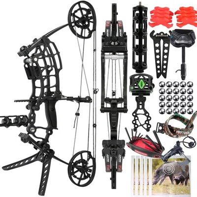 Archery Compound Bow Set 40-65lbs Bow Sight Carbon Arrow RH LH Hunting Target - Image 1 of 4