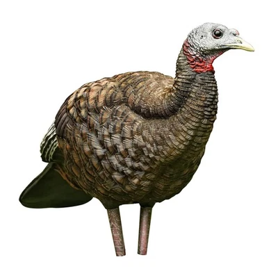 AVIAN-X LCD Breeder Hen Turkey Decoy | Durable Realistic Lifelike Collapsible... - Image 1 of 4