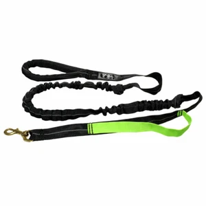 Axaeco 4 SEASON JOGGING LEASH | AXJL | Zugleine für Dogtrekking oder Ski-Jöhring - Bild 1 von 7