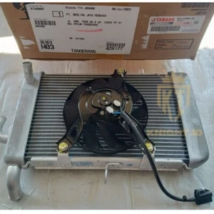 Yamaha X-MAX XMAX X-MAX300 XMAX300 CZD300 B74-E240A-01 Radiator Assy Genuine - Picture 1 of 6
