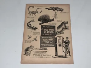 Pubblicità rivista vintage Ethyl Corporation benzina 1949 - Foto 1 di 3