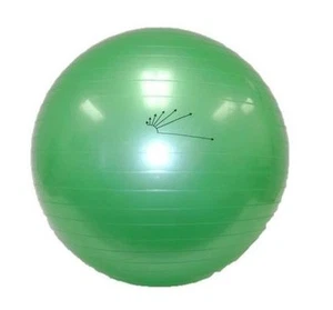 ALL SIZES Physio Balance YOGA Fitness Gym Exercise Inflatable G BALL Swiss PE - Picture 1 of 16