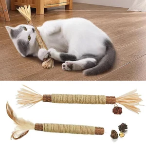 Catnip Toys Cat Wand Silvervine Sticks Cleaning Teeth Silvervine Chew Stick 1PC - Picture 1 of 13