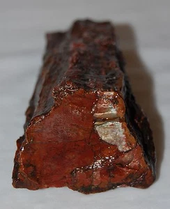 Colorido espécimen de exhibición áspero vintage pieza de bosque de madera petrificada roja 9 oz. - Imagen 1 de 9