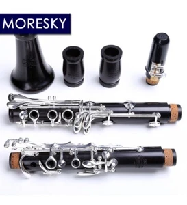 Silver Plated Solid Wood Sib Klarnet M9 Ebony Clarinet Bb 17/18 Keys - Picture 1 of 9