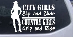 Calcomanía de ventana City Girls deslizante campo niñas agarre coche camión 8X5,7 - Imagen 1 de 33
