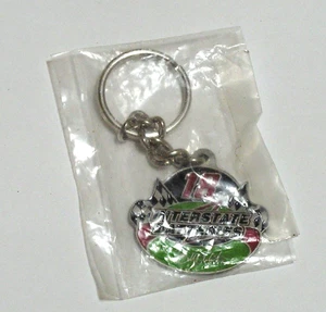 NEW #18 Bobby Labonte NASCAR Keychain Stock / Racecar Key Ring Joe Gibbs Racing - Picture 1 of 3