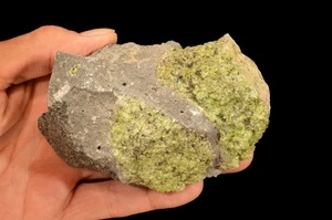 Peridot Basalt 4 1/2" 1 Pfund 9 Unzen natürliches Bergmineral Probe Heilkristall - Bild 1 von 1