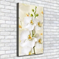 Cuadros Modernos Sobre Lienzo Para el Salón 50x100 Orquídea blanca