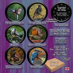 Colourful Birds Wall Clock add text free Hummingbird robin thrush king fisher - Picture 1 of 7