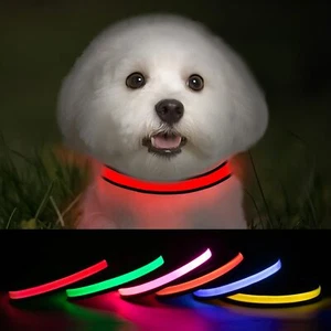 Collar para Perros con Luz LED Correa de Nylon Ajustable con Destellos Brillante - Picture 1 of 8