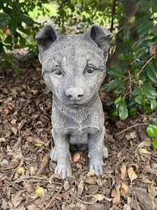 Blue Heeler Cattle Dog Memorial Statue Ornament Animal Concrete Cement Garden - Picture 1 of 8