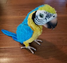 squawkers mccaw price