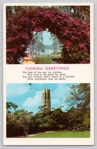 Cypress Gardens FL Bouganvillea & Bok Torre del Canto Mountain Lake cartolina - Foto 1 di 2