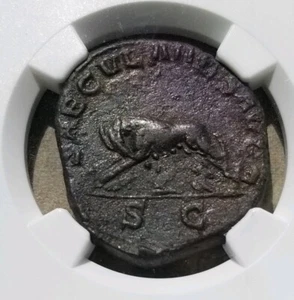 Philip I Sestertius SAECULAR GAMES ISSUE NGC Choice VF Ancient Coin She-Wolf - Picture 1 of 4