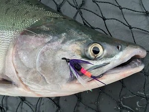 Fliegenfischen Fliegen (Steelhead, Lachs, Forelle, Barsch) Henry's Güterzug Fliege x 6 - Bild 1 von 1