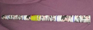 Nuevo ENVOLTURA DE REGALO BACKSTREET BOYS papel de envolver Music Mania 20 pies cuadrados ROLLO DE COLECCIÓN - Imagen 1 de 7