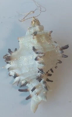 Brillo Concha Marina Adorno de Navidad Océano Mar Concha Playa Costera Náutica Foto 1 de 4