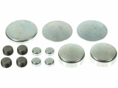 Kit de tapones de expansión de panel para Chevrolet C30 1960-1962 63697DY 1961 3,9 L 6 cilindros Foto 1 de 2