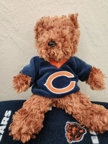Chicago Bears NFL Brown Teddy Bear with Team Shirt 8.5” Plush Stuffed Animal Cover
