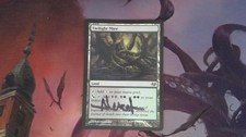 1X Twilight Mire Eventide SIGNED SEE PICTURES MTG CARD
