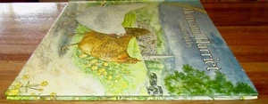 Hetty and Harriet ~ Graham Oakley. 1981 HARD UNread COLLECTABLE HERE in MELB - Picture 1 of 24