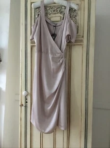All Saints CADIA CHAMPAGNE DRESS BNWT SIZE 10 Feature Cut Out Sleeves Stunning - Picture 1 of 7