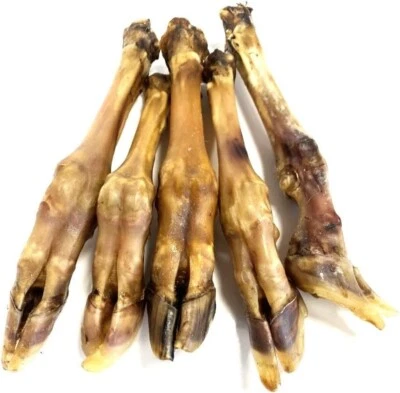 MALTBYS' STORES 1904 LIMITED Lamb Legs x 10 Lamb Natural Dog Treats Chews Low Fat by Maltbys Stores
