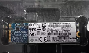 Nuovo SSD 256 GB SD5SG2-256G-1052E Lenovo per laptop Thinkpad X1 carbonio - Foto 1 di 1