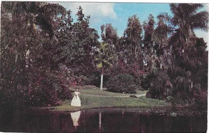 Vintage Florida Chrome Postcard Cypress Gardens Southern Belle Water Palms - Picture 1 of 2