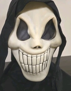 VGN 'Grinning-Ghost Fearsome Faces Scream Ghost Gesichtsmaske Fun World Glow In Dark - Bild 1 von 14