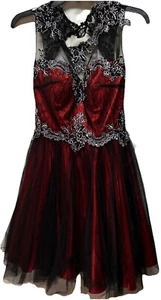 Steampunk Dress Fiesta Fashion S Halloween Metallic Lace prom Black Silver Sexy - Picture 1 of 15