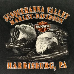 Harley-Davidson T-Shirt Uomo Large Black Eagles Susqehanna Valley Manica Corta - Foto 1 di 5