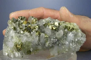 4 INCH GOLDEN CHALCOPYRITE CRYSTALS w QUARTZ, CAVNIC, ROMANIA, GLOBE MINERALS - Picture 1 of 3