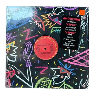 James “D Train” Williams - In Your Eyes (EX/EX) 12” Single Vinyl Record - Picture 1 of 3