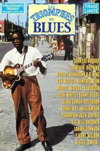 Various – Les Triomphes Du Blues [20 CD BOX SET] EX C The Very Best Of The Blues - Picture 1 of 2